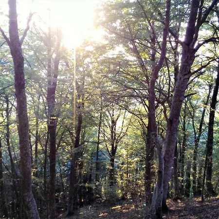 Pensión Casa Isabela Luxury